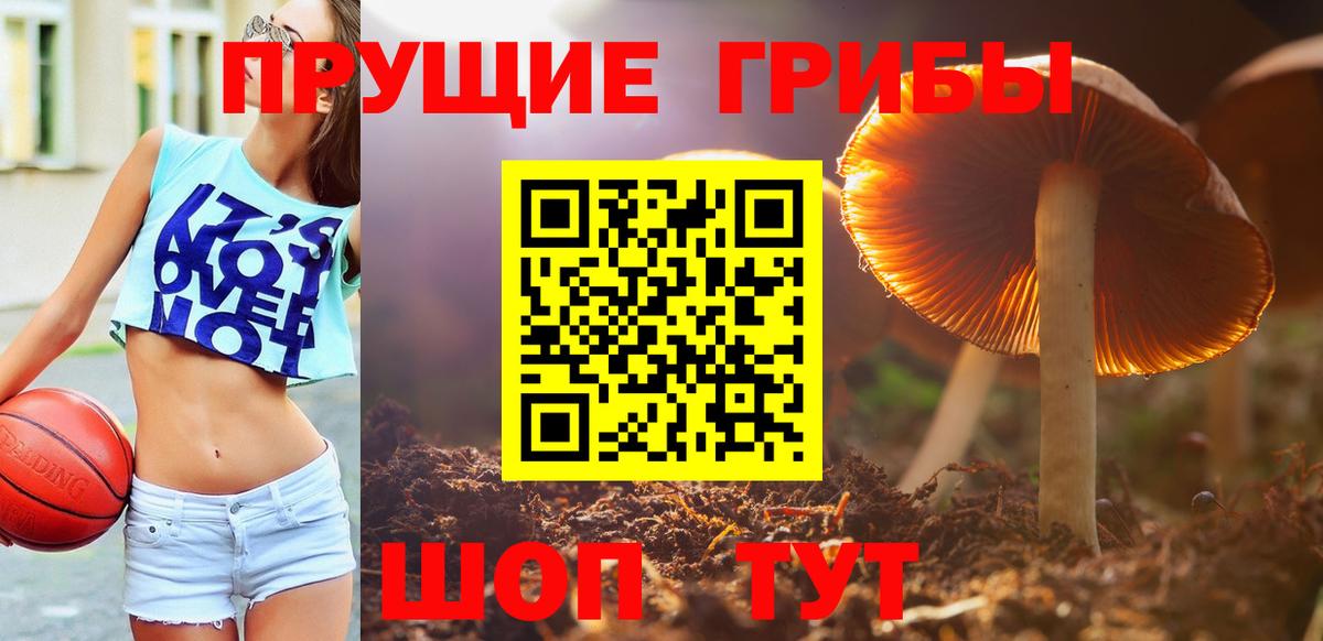 Галлюциногенные грибы ЛСД Кашира