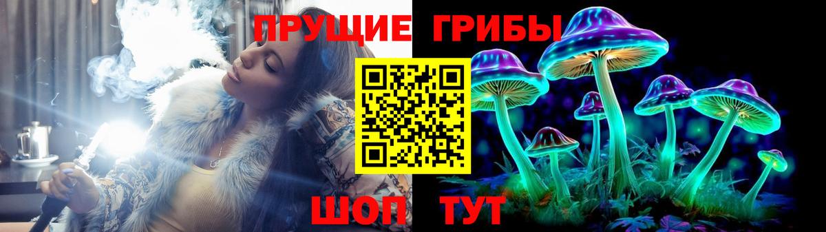 Галлюциногенные грибы прущие грибы  Вход с VPN  Кашира 